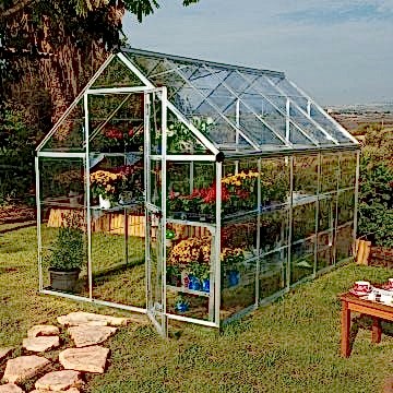6x10 Palram Harmony Polycarbonate Silver Greenhouse 