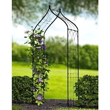 Panacea Ogee Metal Garden Arch 8'6 x 3'9 