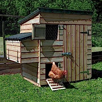 5'4 x 3'8 Forest Premium Wooden Large Hen House (1.63m x 1.12m)