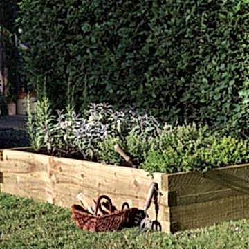 Forest Caledonian Raised Bed 180 x 90cm 