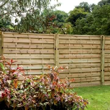 Forest Exeter Panel 1.8m High (Europa Plain) 