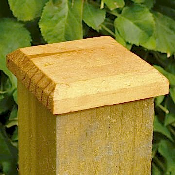 Forest Fence Post Cap 10 x 10cm 