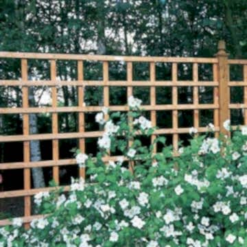 Forest Arley Trellis 61 x 183cm (Heavy Duty)