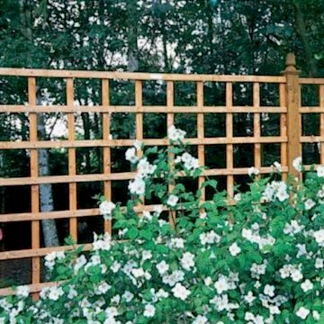 Forest Arley Trellis 122 x 183cm (Heavy Duty)