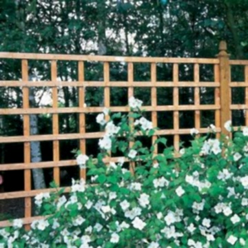 Forest Arley Trellis 183 x 183cm (Heavy Duty)