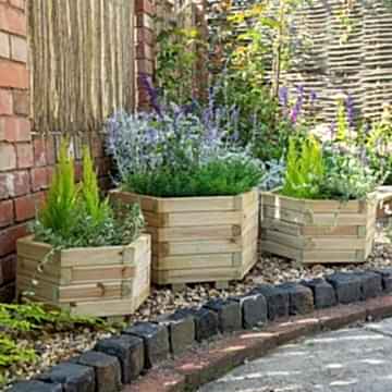 Forest York Hexagonal Planter – Set of 3