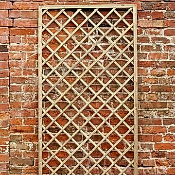 Forest Henley Lattice 180 x 90cm (Hidcote) 