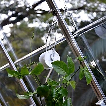 Palram Greenhouse Trellesing Kit