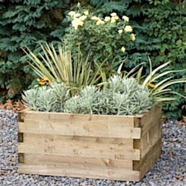 Forest 90 x 90cm Caledonian Raised Bed 