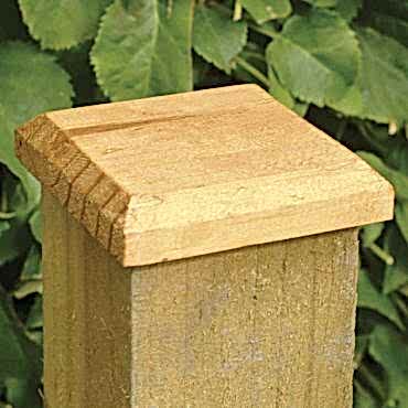 Forest Fence Post Cap 10 x 10cm 