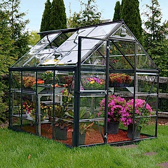 6' x 8' Palram Harmony Grey Greenhouse