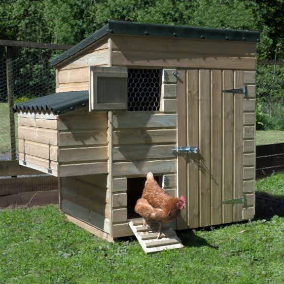 5'4 x 3'8 Forest Premium Wooden Large Hen House (1.63m x 1.12m)