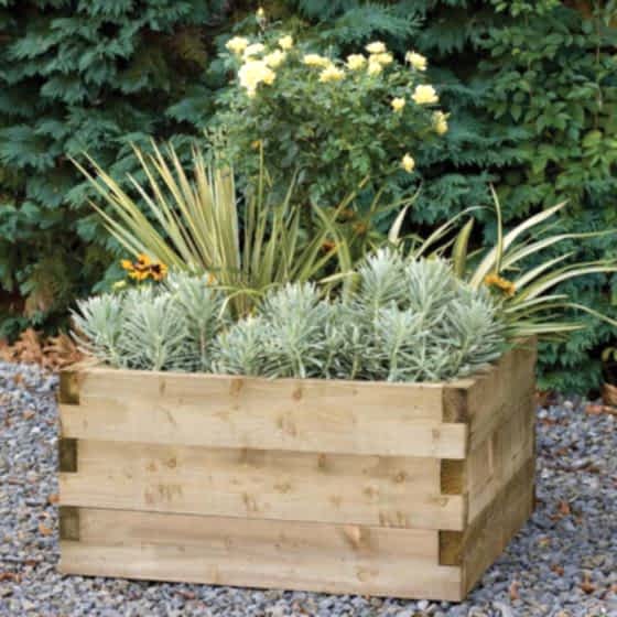 Forest 90 x 90cm Caledonian Raised Bed
