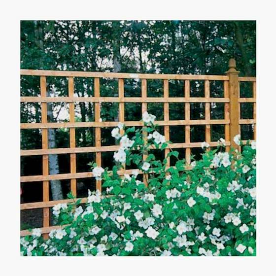 91 x 183cm Arley Trellis