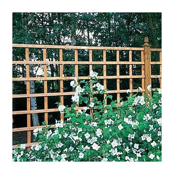 Forest Arley Trellis 122 x 183cm (Heavy Duty)