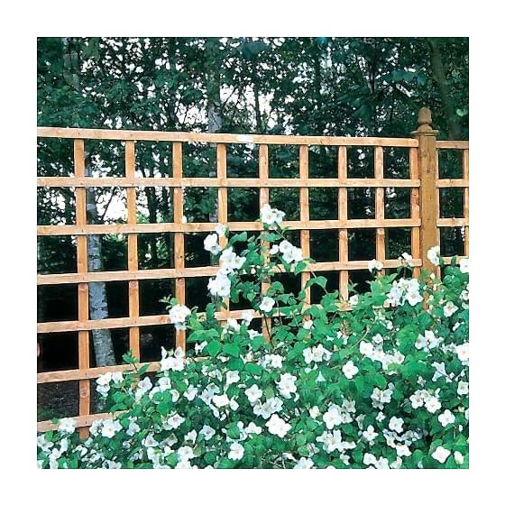 Forest Arley Trellis 183 x 183cm (Heavy Duty)