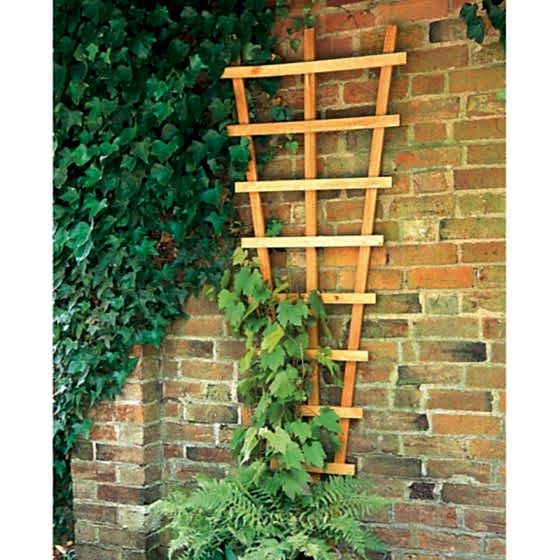 Forest Fan Trellis

