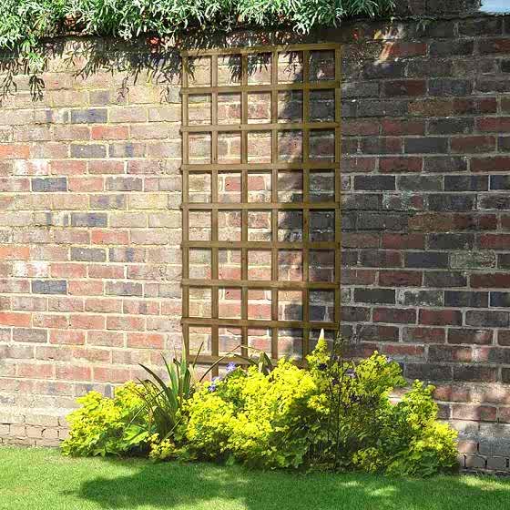Forest 5'11" x 2'11" Traditional Pressure Treated Square Trellis
