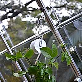 Palram Canopia Greenhouse Trellis Kit