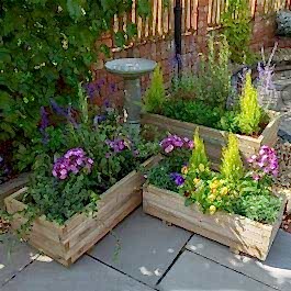 Forest Durham Rectangular Wooden Garden Planter 3'x1'9 (0.9x0.5m) - Set of 3
