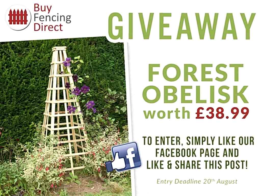 Forest Obelisk Summer Giveaway