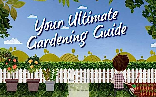 Your Ultimate Guide to Gardening: Infographic