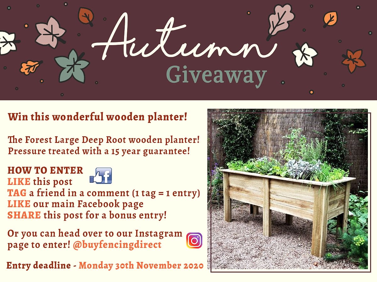 Forest Large Deep Root Wooden Planter Giveaway 