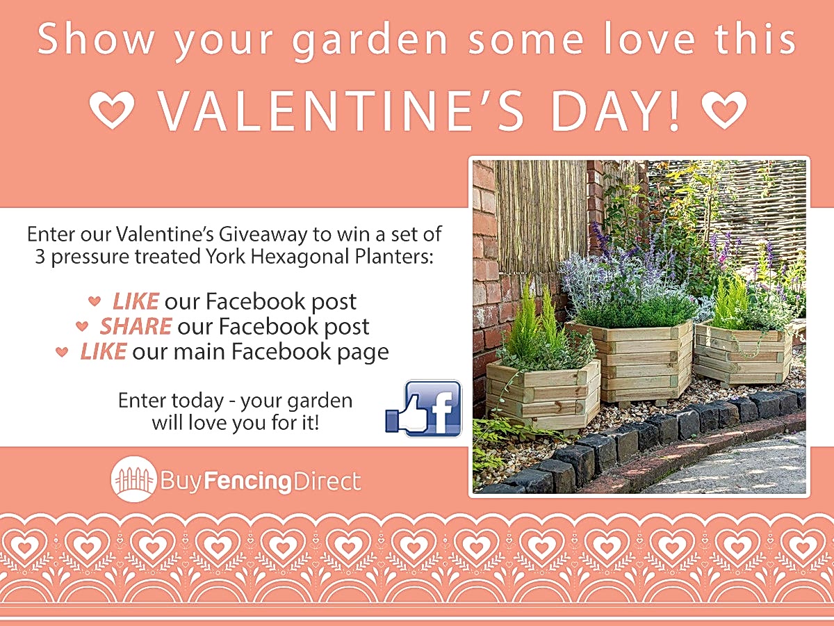 York Hexagonal Planter Giveaway 