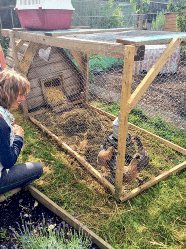 Keeping Chickens with Pocket Farm