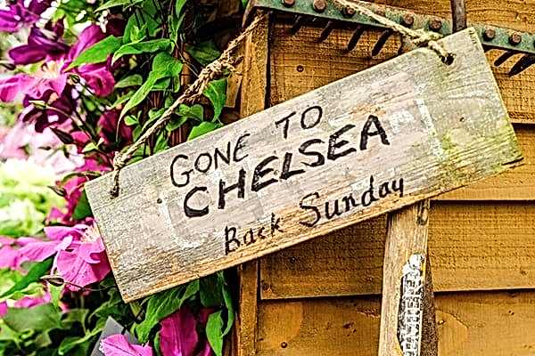RHS Chelsea Flower Show 2015: What was available?