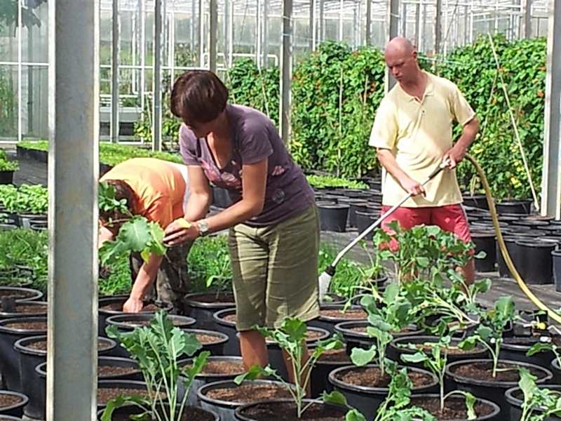 Bringing People and Gardens Together