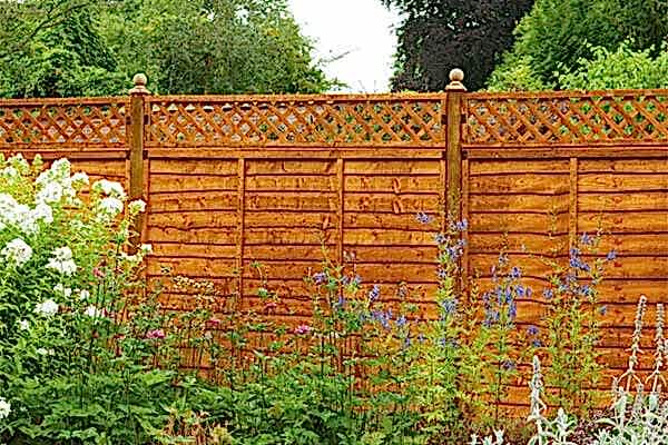Forest 6' x 1' Diamond Lattice Trellis Fence Topper - Read on to see how to attach trellis to a fence