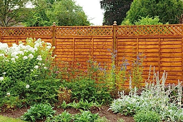 a wooden garden fence with a trellis fence topper in front of a garden border full of green and white plants
