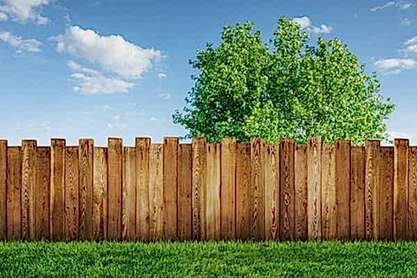 a photo showing a fencing run with some wonderful fence landscaping from our list of simple fence line landscaping ideas including the best plants for fence lines