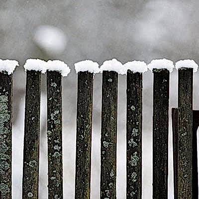 fence in the snow