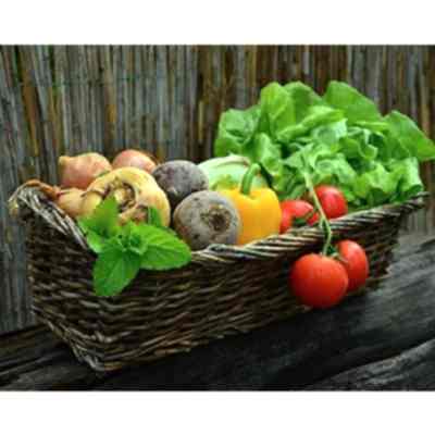 Growing your own food
