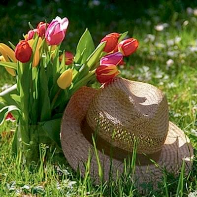 Simple garden ideas