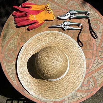 Gardening on a budget with Growing Nicely