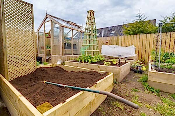 The ultimate guide to growing your own