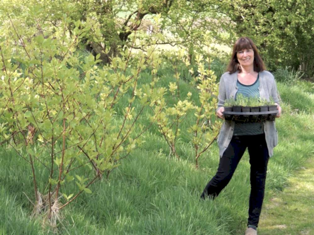 Talking all things wildlife with Wildlife Gardening