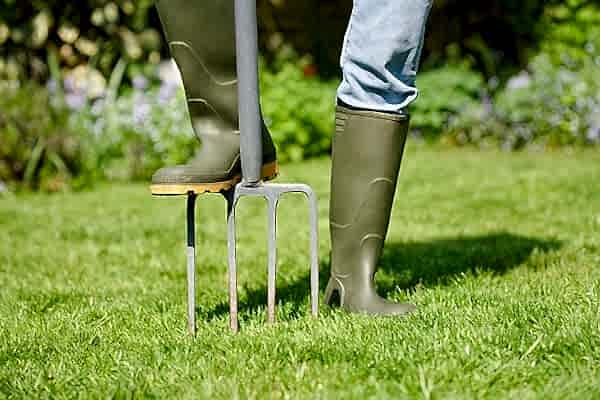 How to get the perfect lawn