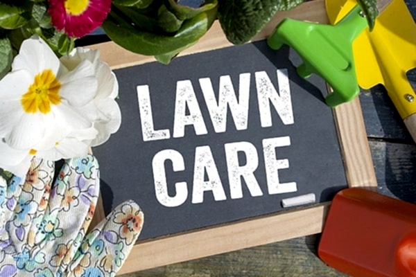 What Glastonbury can teach us about lawn care