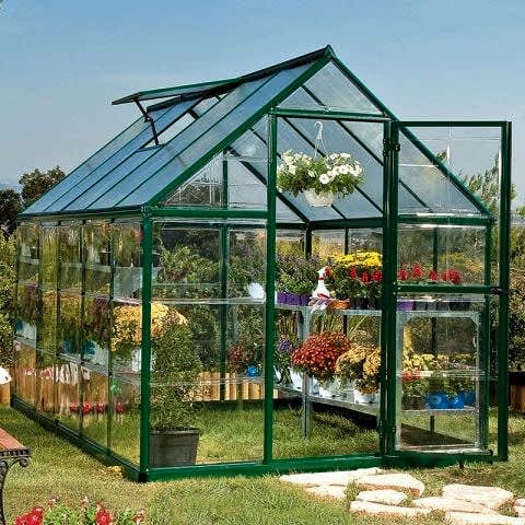 Late Summer in the Greenhouse