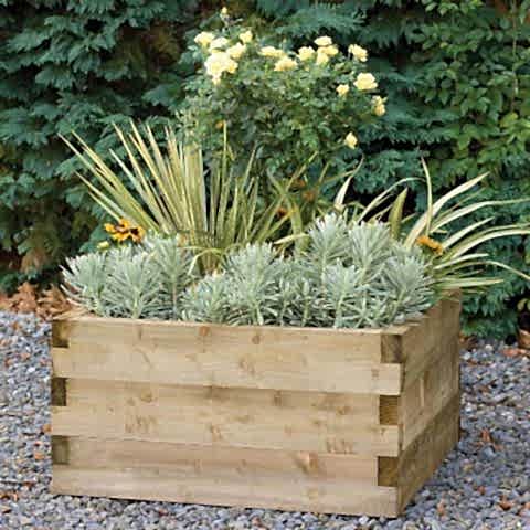 How to Make the Most of Your Bedding Plants