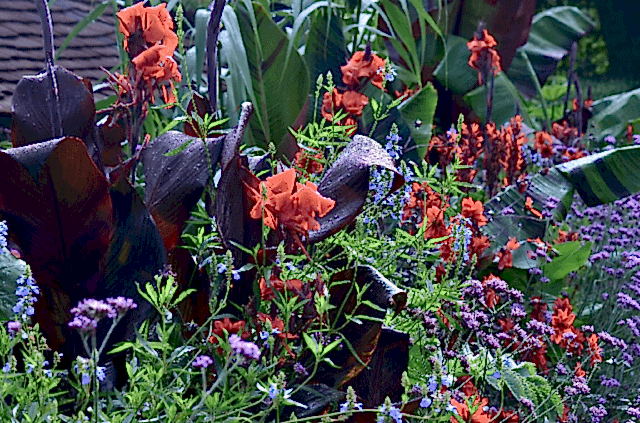 Gardening With The Anxious Gardener