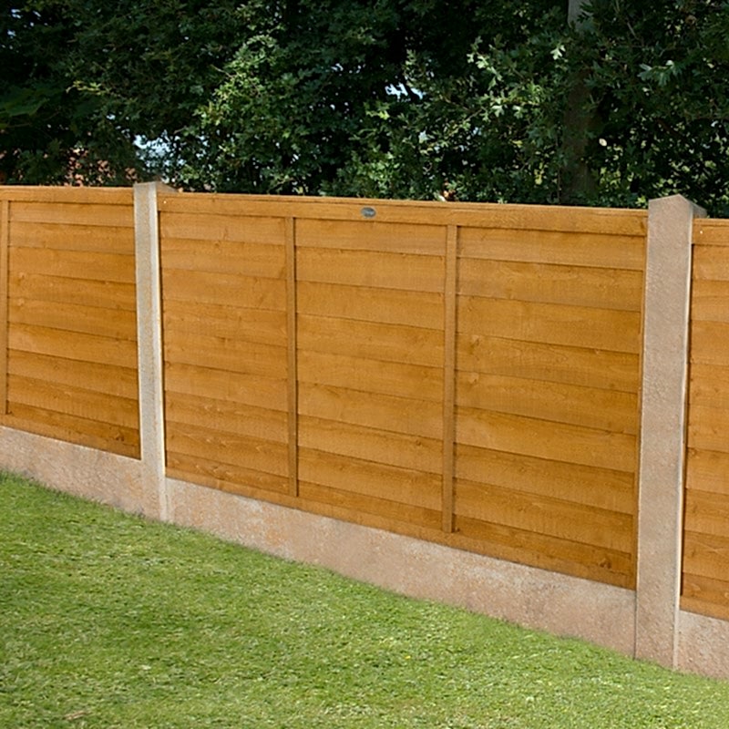 Forest 6' x 4' Straight Cut Overlap Fence Panels in a garden