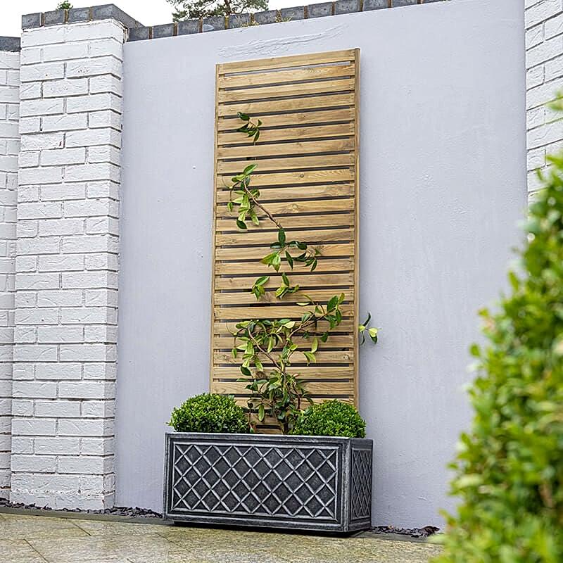 A Forest Pressure Treated Slatted Trellis Panel against a wall with climbing plants and a planter in front