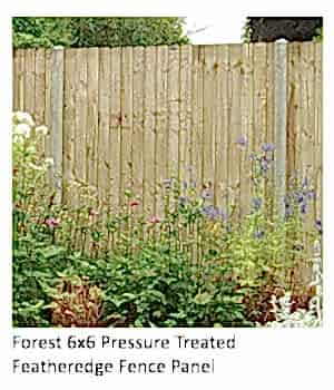Please click here for further information or to purchase this garden fencing The Forest 6x6 Pressure Treated Featheredge Fence Panel with plants in the foreground