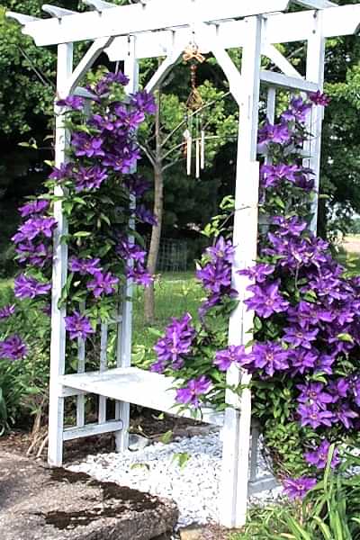 this garden makeover on a budget has been done with affordable garden plants, inexpensive garden fencing and DIY garden planters