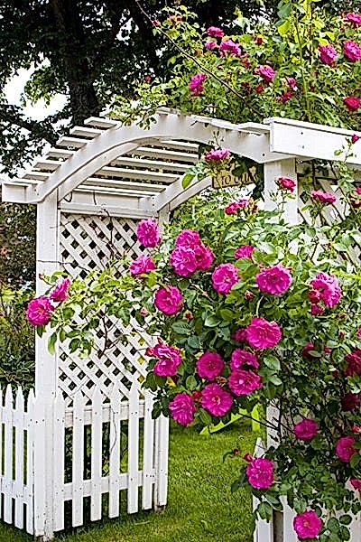 this garden makeover on a budget has been done with affordable garden plants, inexpensive garden fencing and DIY garden planters